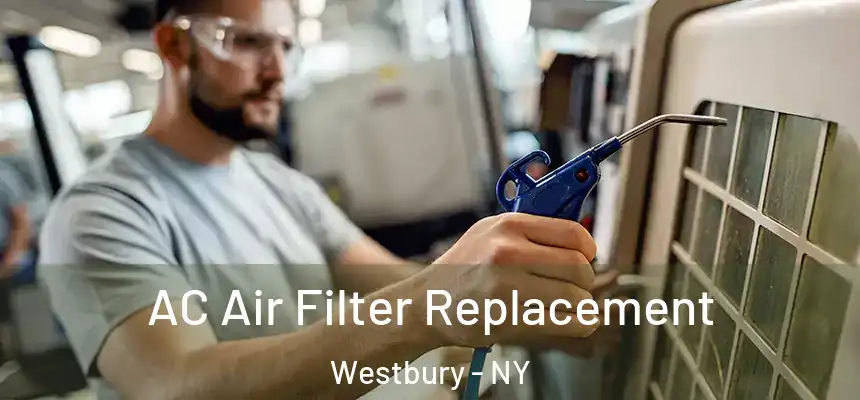  AC Air Filter Replacement Westbury - NY