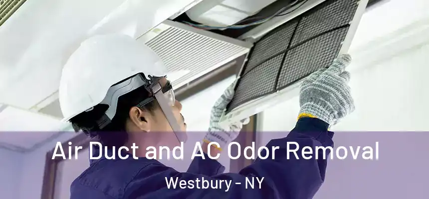  Air Duct and AC Odor Removal Westbury - NY