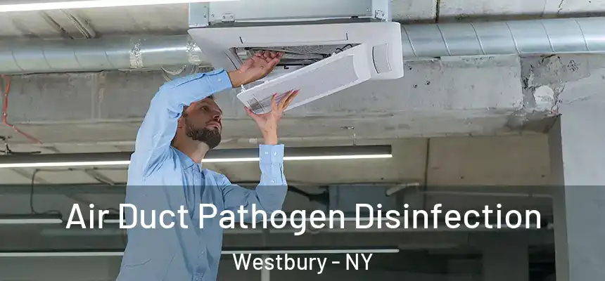  Air Duct Pathogen Disinfection Westbury - NY