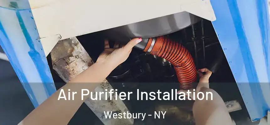  Air Purifier Installation Westbury - NY