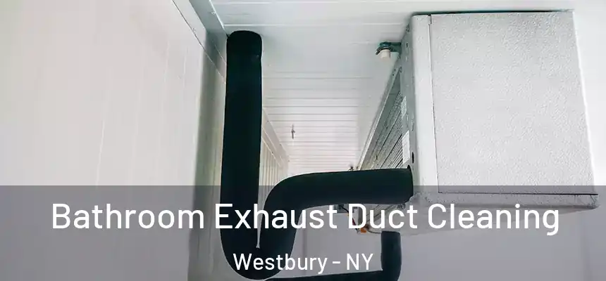  Bathroom Exhaust Duct Cleaning Westbury - NY