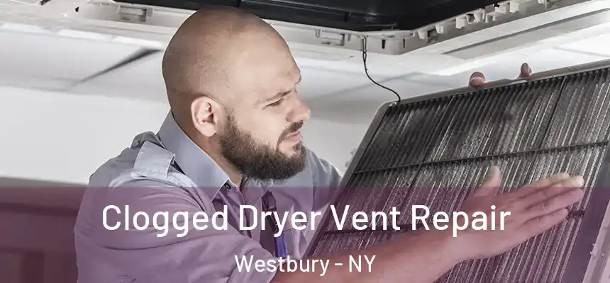  Clogged Dryer Vent Repair Westbury - NY