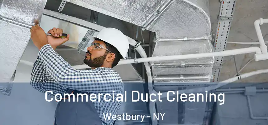  Commercial Duct Cleaning Westbury - NY