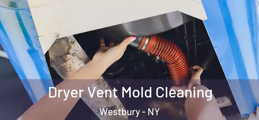  Dryer Vent Mold Cleaning Westbury - NY