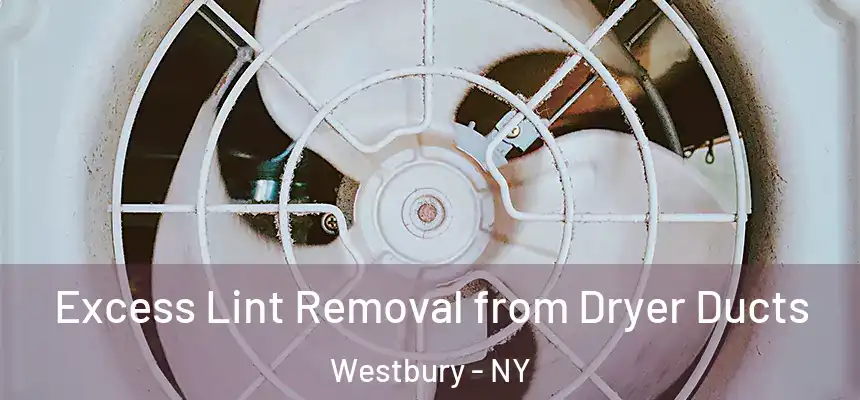  Excess Lint Removal from Dryer Ducts Westbury - NY