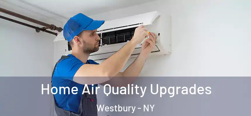  Home Air Quality Upgrades Westbury - NY
