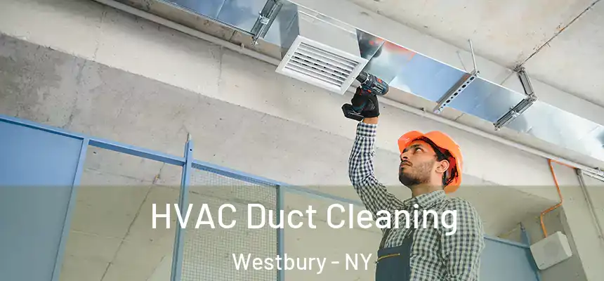  HVAC Duct Cleaning Westbury - NY