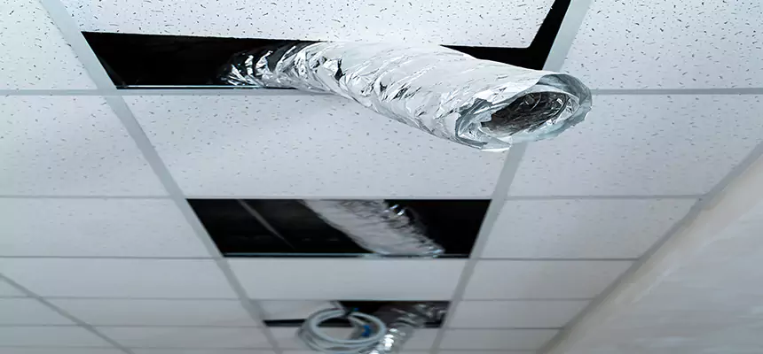 Affordable HVAC Sanitizing After Pest Removal in Westbury