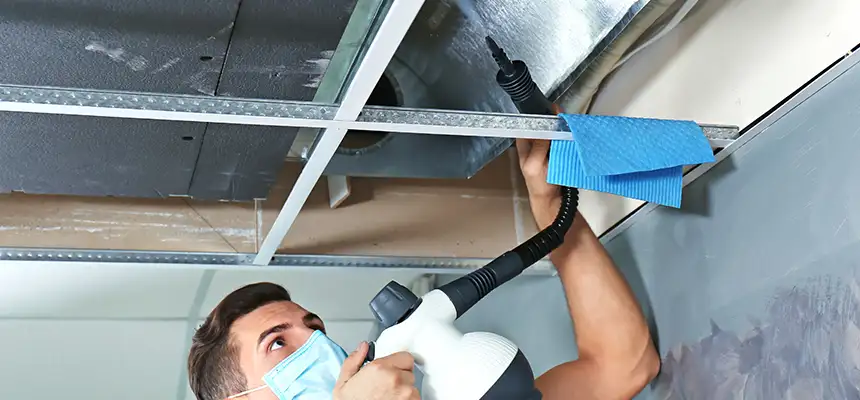Our Air Duct Rodent Removal Services in Westbury, NY