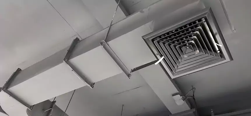 Restorative Allergy Relief Vent Cleaning – Coil, Blower & Housing Detail in Westbury