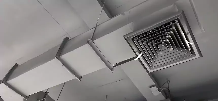 Our Pest Removal From Ducts Services in Westbury, NY