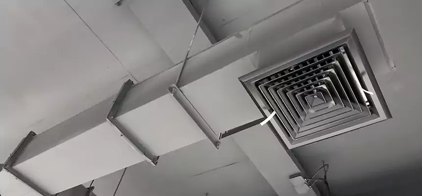 Our Rodent Droppings In Vents Services in Westbury, NY