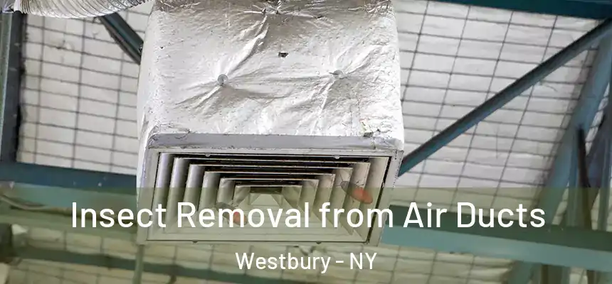  Insect Removal from Air Ducts Westbury - NY