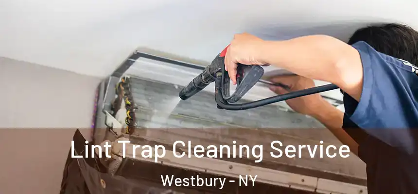  Lint Trap Cleaning Service Westbury - NY