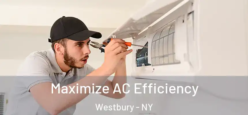  Maximize AC Efficiency Westbury - NY