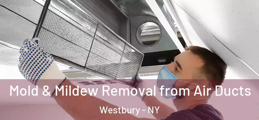  Mold & Mildew Removal from Air Ducts Westbury - NY
