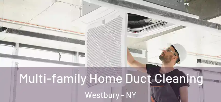  Multi-family Home Duct Cleaning Westbury - NY