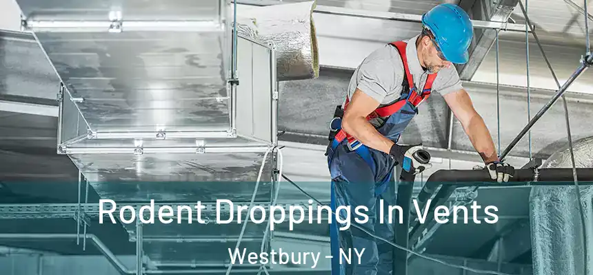  Rodent Droppings In Vents Westbury - NY
