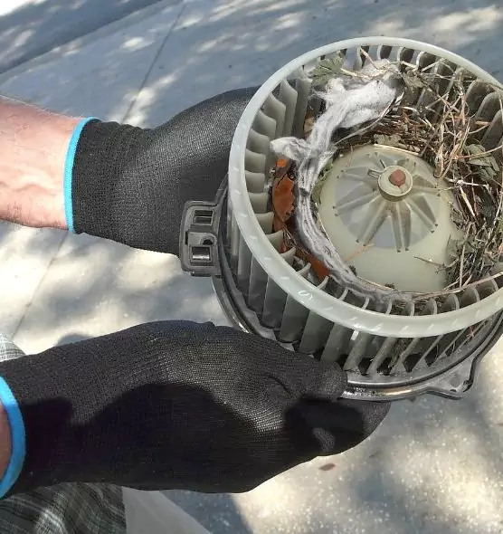 About Air Duct Mice Removal in Westbury, NY