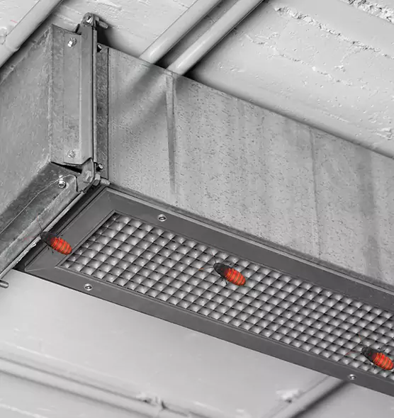Affordable Insect Removal from Air Ducts in Westbury, NY