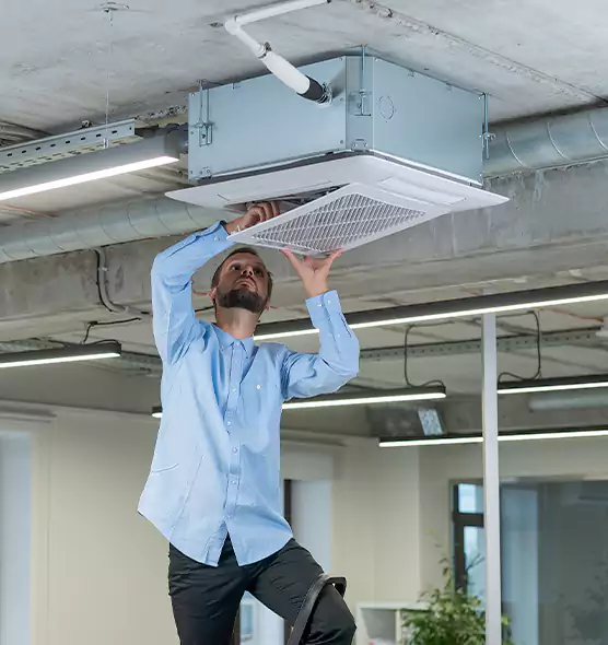Advanced Rodent Droppings In Vents in Westbury, NY