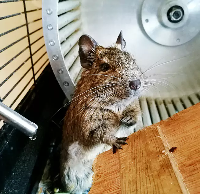 Why Homeowners & Businesses Trust Us Westbury, NY?