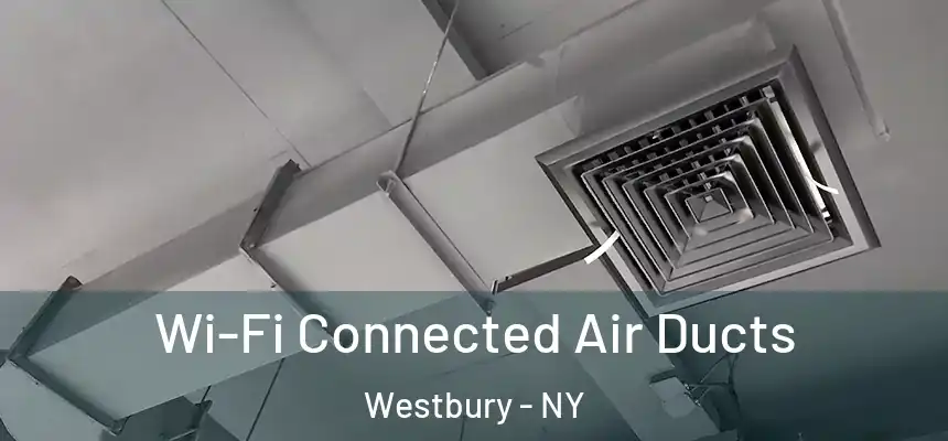  Wi-Fi Connected Air Ducts Westbury - NY